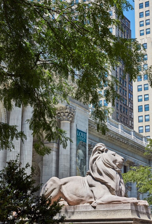 Condos Nearby New York Public Library New Condos near New York Public Library